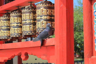 Similar image 697768