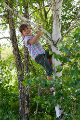 Similar image 697776