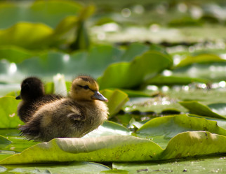 Similar image 697787