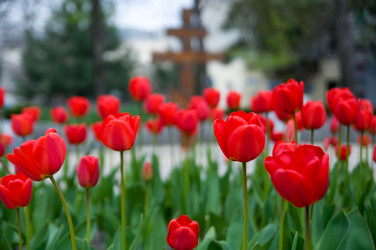 Similar image 697833