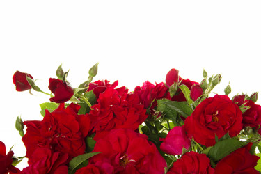 Similar image 697843