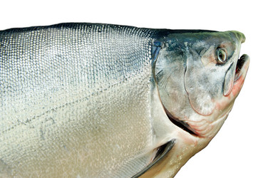 Similar image 697850