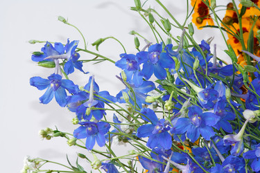 Similar image 697853