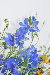 Similar image 697854