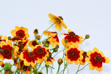 Similar image 697858