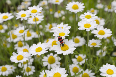 Similar image 697859