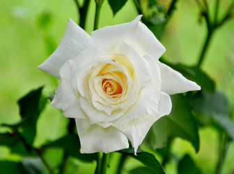 Similar image 697901