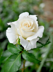 Similar image 697902