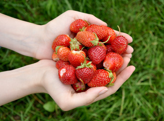 Similar image 697912