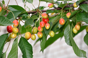 Similar image 697914