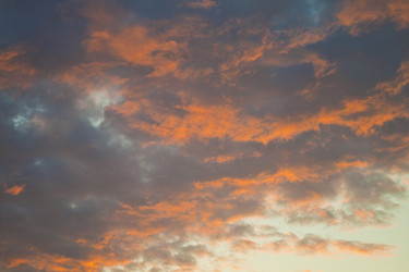 Similar image 697950