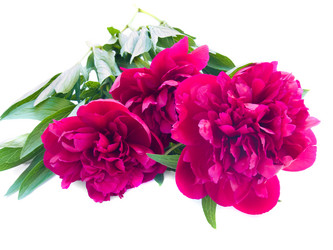 Similar image 697955