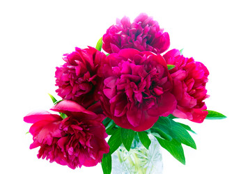 Similar image 697956