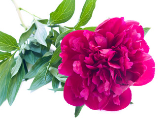 Similar image 697958