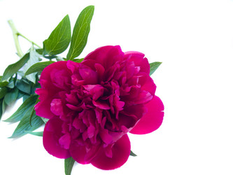 Similar image 697959