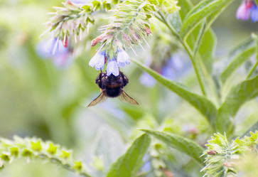 Similar image 697961