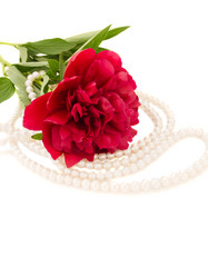 Similar image 697963