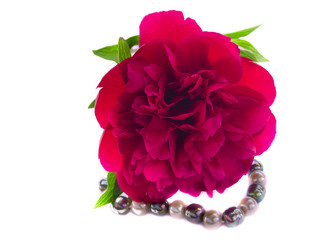 Similar image 697964