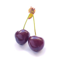 Similar image 697988