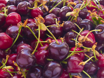 Similar image 697992