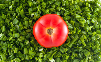 Similar image 698062