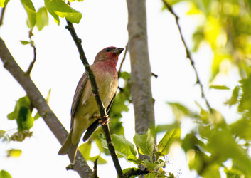 Similar image 698088