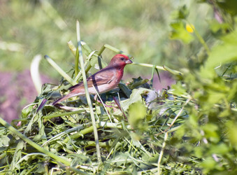 Similar image 698089