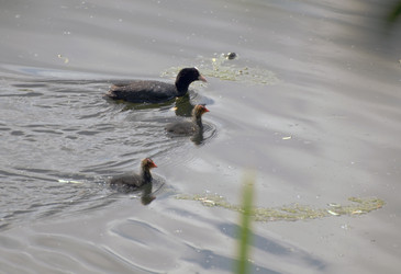 Similar image 698091