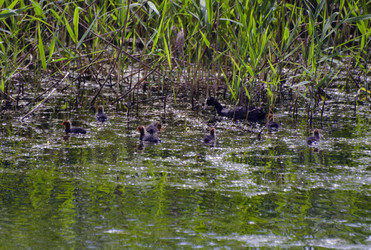 Similar image 698095