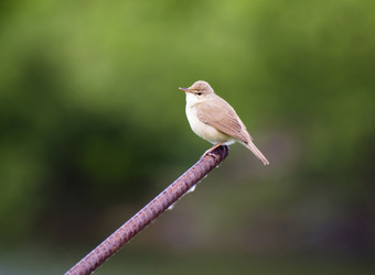 Similar image 698097