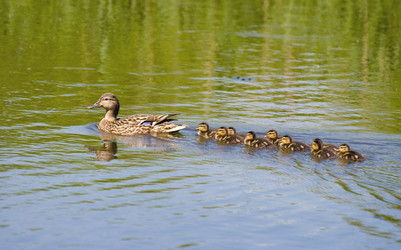 Similar image 698099