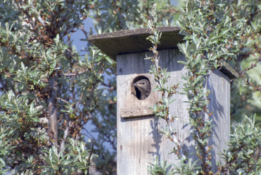 Similar image 698103