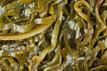 Similar image 698148