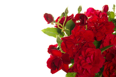 Similar image 698196