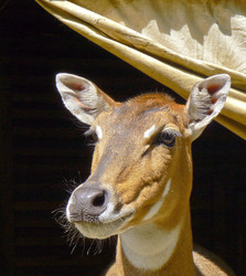 Similar image 698269