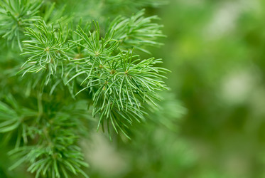 Similar image 698304