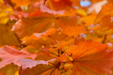 Similar image 698314