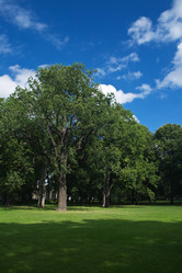 Similar image 698345