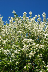 Similar image 698349