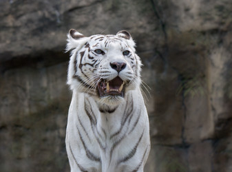 Similar image 698351