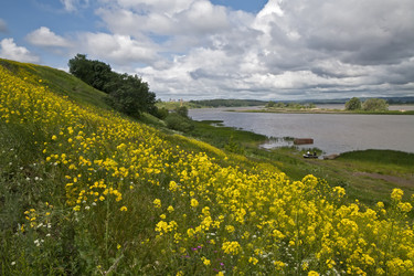 Similar image 698353