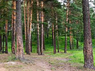 Similar image 698357