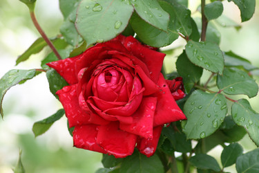 Similar image 698392