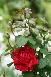 Similar image 698393