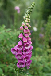 Similar image 698394