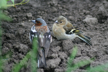 Similar image 698397