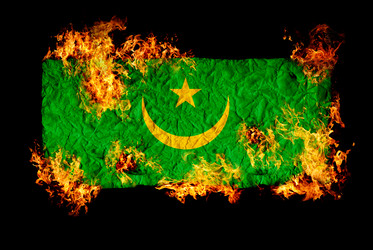 Similar image 698422