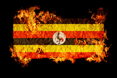 Similar image 698433