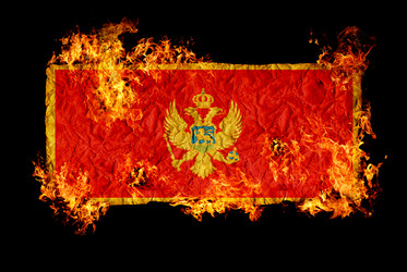 Similar image 698440