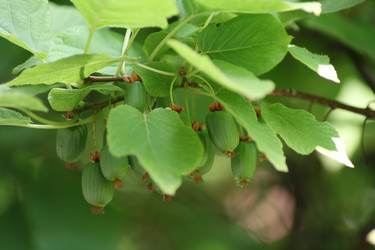 Similar image 698521